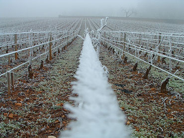 Givre en hiver