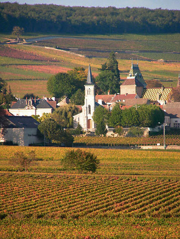 vue des vignes Ã Aloxe