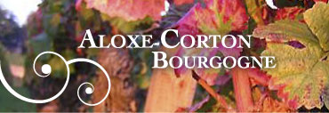 Aloxe Corton en Bourgogne